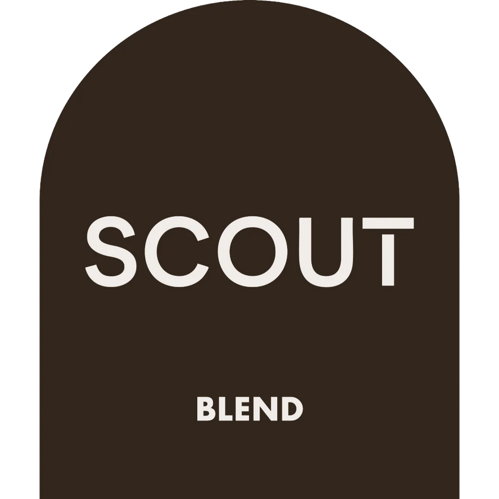 Scout Blend